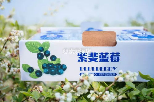 素素探店 網(wǎng)紅藍(lán)莓酒年初沒搶上蹉腳哭 別再錯過頭茬有機藍(lán)莓采摘季了