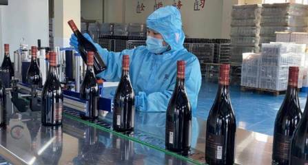 好品山東|青島西海岸新區(qū):著力做強精深加工 加快藍(lán)莓全產(chǎn)業(yè)鏈發(fā)展