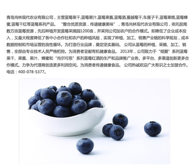 尚林傾愛(ài)蔓越莓果糕 蔓越莓 零食酸甜可口 無(wú)防腐劑 120g 零食圖片,尚林傾愛(ài)蔓越莓果糕 蔓越莓 零食酸甜可口 無(wú)防腐劑 120g 零食圖片大全,青島尚林現(xiàn)代農(nóng)業(yè)-3-