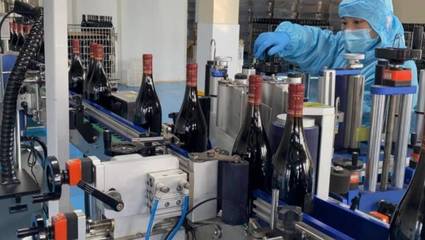 好品山東|青島西海岸新區(qū):著力做強(qiáng)精深加工 加快藍(lán)莓全產(chǎn)業(yè)鏈發(fā)展