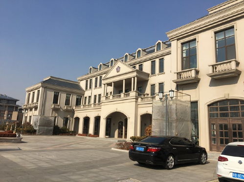 回家過年帶健康,紫斐藍(lán)莓酒適合家人朋友齊分享