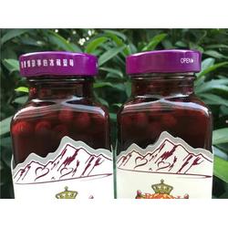 1255藍莓果汁廠家 1255藍莓果汁 德飲德國啤酒