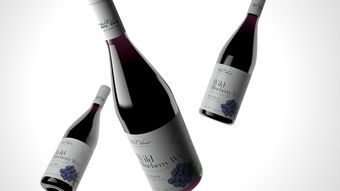 藍莓酒包裝設計