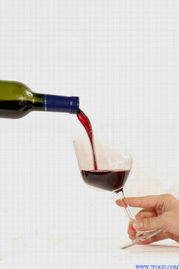 果酒 原汁藍莓酒 500ml 廣東 珠海市區