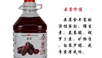 感戀楊梅果酒藍莓桃花釀荔枝桑葚低度少女自釀水果酒10度2.5l果味